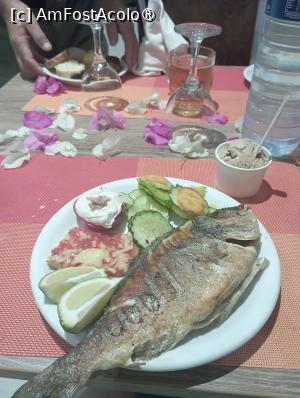 [P29]  -- <small>// FĂRĂ DESCRIERE</small> » foto by Ella Elle
 - 
<span class="allrVoted glyphicon glyphicon-heart hidden" id="av1504072"></span>
<a class="m-l-10 hidden" id="sv1504072" onclick="voting_Foto_DelVot(,1504072,29162)" role="button">șterge vot <span class="glyphicon glyphicon-remove"></span></a>
<a id="v91504072" class=" c-red"  onclick="voting_Foto_SetVot(1504072)" role="button"><span class="glyphicon glyphicon-heart-empty"></span> <b>LIKE</b> = Votează poza</a> <img class="hidden"  id="f1504072W9" src="/imagini/loader.gif" border="0" /><span class="AjErrMes hidden" id="e1504072ErM"></span>