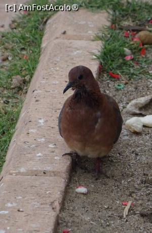 [P35]  -- <small>// FĂRĂ DESCRIERE</small> » foto by Ella Elle
 - 
<span class="allrVoted glyphicon glyphicon-heart hidden" id="av1504078"></span>
<a class="m-l-10 hidden" id="sv1504078" onclick="voting_Foto_DelVot(,1504078,29162)" role="button">șterge vot <span class="glyphicon glyphicon-remove"></span></a>
<a id="v91504078" class=" c-red"  onclick="voting_Foto_SetVot(1504078)" role="button"><span class="glyphicon glyphicon-heart-empty"></span> <b>LIKE</b> = Votează poza</a> <img class="hidden"  id="f1504078W9" src="/imagini/loader.gif" border="0" /><span class="AjErrMes hidden" id="e1504078ErM"></span>