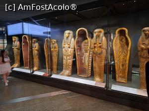 [P80] GEM, Galeria 10, Sicrie ale unor preotese de la Deir el-Bahri » foto by mprofeanu
 - 
<span class="allrVoted glyphicon glyphicon-heart hidden" id="av1527024"></span>
<a class="m-l-10 hidden" id="sv1527024" onclick="voting_Foto_DelVot(,1527024,29165)" role="button">șterge vot <span class="glyphicon glyphicon-remove"></span></a>
<a id="v91527024" class=" c-red"  onclick="voting_Foto_SetVot(1527024)" role="button"><span class="glyphicon glyphicon-heart-empty"></span> <b>LIKE</b> = Votează poza</a> <img class="hidden"  id="f1527024W9" src="/imagini/loader.gif" border="0" /><span class="AjErrMes hidden" id="e1527024ErM"></span>