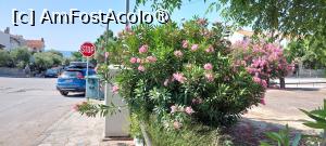 [P07] Intersecția străzii F. Prasini cu șoseaua » foto by Carmen Ion
 - 
<span class="allrVoted glyphicon glyphicon-heart hidden" id="av1507712"></span>
<a class="m-l-10 hidden" id="sv1507712" onclick="voting_Foto_DelVot(,1507712,29182)" role="button">șterge vot <span class="glyphicon glyphicon-remove"></span></a>
<a id="v91507712" class=" c-red"  onclick="voting_Foto_SetVot(1507712)" role="button"><span class="glyphicon glyphicon-heart-empty"></span> <b>LIKE</b> = Votează poza</a> <img class="hidden"  id="f1507712W9" src="/imagini/loader.gif" border="0" /><span class="AjErrMes hidden" id="e1507712ErM"></span>