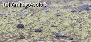 [P29] Cimitirul evreiesc :) » foto by adso
 - 
<span class="allrVoted glyphicon glyphicon-heart hidden" id="av1507826"></span>
<a class="m-l-10 hidden" id="sv1507826" onclick="voting_Foto_DelVot(,1507826,29183)" role="button">șterge vot <span class="glyphicon glyphicon-remove"></span></a>
<a id="v91507826" class=" c-red"  onclick="voting_Foto_SetVot(1507826)" role="button"><span class="glyphicon glyphicon-heart-empty"></span> <b>LIKE</b> = Votează poza</a> <img class="hidden"  id="f1507826W9" src="/imagini/loader.gif" border="0" /><span class="AjErrMes hidden" id="e1507826ErM"></span>