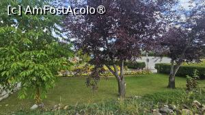 [P15] la pas prin Fairbanks » foto by robert
 - 
<span class="allrVoted glyphicon glyphicon-heart hidden" id="av1508672"></span>
<a class="m-l-10 hidden" id="sv1508672" onclick="voting_Foto_DelVot(,1508672,29187)" role="button">șterge vot <span class="glyphicon glyphicon-remove"></span></a>
<a id="v91508672" class=" c-red"  onclick="voting_Foto_SetVot(1508672)" role="button"><span class="glyphicon glyphicon-heart-empty"></span> <b>LIKE</b> = Votează poza</a> <img class="hidden"  id="f1508672W9" src="/imagini/loader.gif" border="0" /><span class="AjErrMes hidden" id="e1508672ErM"></span>