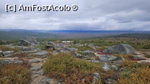 [P56] la pas prin Alaska » foto by robert
 - 
<span class="allrVoted glyphicon glyphicon-heart hidden" id="av1508713"></span>
<a class="m-l-10 hidden" id="sv1508713" onclick="voting_Foto_DelVot(,1508713,29187)" role="button">șterge vot <span class="glyphicon glyphicon-remove"></span></a>
<a id="v91508713" class=" c-red"  onclick="voting_Foto_SetVot(1508713)" role="button"><span class="glyphicon glyphicon-heart-empty"></span> <b>LIKE</b> = Votează poza</a> <img class="hidden"  id="f1508713W9" src="/imagini/loader.gif" border="0" /><span class="AjErrMes hidden" id="e1508713ErM"></span>