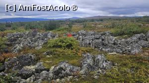 [P57] la pas prin Alaska » foto by robert
 - 
<span class="allrVoted glyphicon glyphicon-heart hidden" id="av1508714"></span>
<a class="m-l-10 hidden" id="sv1508714" onclick="voting_Foto_DelVot(,1508714,29187)" role="button">șterge vot <span class="glyphicon glyphicon-remove"></span></a>
<a id="v91508714" class=" c-red"  onclick="voting_Foto_SetVot(1508714)" role="button"><span class="glyphicon glyphicon-heart-empty"></span> <b>LIKE</b> = Votează poza</a> <img class="hidden"  id="f1508714W9" src="/imagini/loader.gif" border="0" /><span class="AjErrMes hidden" id="e1508714ErM"></span>