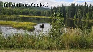 [P05] peisaj din Alaska » foto by robert
 - 
<span class="allrVoted glyphicon glyphicon-heart hidden" id="av1509221"></span>
<a class="m-l-10 hidden" id="sv1509221" onclick="voting_Foto_DelVot(,1509221,29187)" role="button">șterge vot <span class="glyphicon glyphicon-remove"></span></a>
<a id="v91509221" class=" c-red"  onclick="voting_Foto_SetVot(1509221)" role="button"><span class="glyphicon glyphicon-heart-empty"></span> <b>LIKE</b> = Votează poza</a> <img class="hidden"  id="f1509221W9" src="/imagini/loader.gif" border="0" /><span class="AjErrMes hidden" id="e1509221ErM"></span>