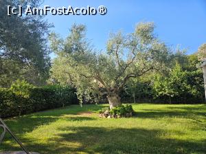 [P32] Prin curtea cazării » foto by DOINITA
 - 
<span class="allrVoted glyphicon glyphicon-heart hidden" id="av1509206"></span>
<a class="m-l-10 hidden" id="sv1509206" onclick="voting_Foto_DelVot(,1509206,29190)" role="button">șterge vot <span class="glyphicon glyphicon-remove"></span></a>
<a id="v91509206" class=" c-red"  onclick="voting_Foto_SetVot(1509206)" role="button"><span class="glyphicon glyphicon-heart-empty"></span> <b>LIKE</b> = Votează poza</a> <img class="hidden"  id="f1509206W9" src="/imagini/loader.gif" border="0" /><span class="AjErrMes hidden" id="e1509206ErM"></span>