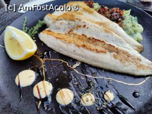 [P50] Pește cu piure trufat » foto by crismis
 - 
<span class="allrVoted glyphicon glyphicon-heart hidden" id="av1509721"></span>
<a class="m-l-10 hidden" id="sv1509721" onclick="voting_Foto_DelVot(,1509721,29195)" role="button">șterge vot <span class="glyphicon glyphicon-remove"></span></a>
<a id="v91509721" class=" c-red"  onclick="voting_Foto_SetVot(1509721)" role="button"><span class="glyphicon glyphicon-heart-empty"></span> <b>LIKE</b> = Votează poza</a> <img class="hidden"  id="f1509721W9" src="/imagini/loader.gif" border="0" /><span class="AjErrMes hidden" id="e1509721ErM"></span>