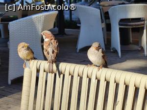 [P63] ...Și alte bestii flămânde care pândesc... » foto by crismis
 - 
<span class="allrVoted glyphicon glyphicon-heart hidden" id="av1509731"></span>
<a class="m-l-10 hidden" id="sv1509731" onclick="voting_Foto_DelVot(,1509731,29195)" role="button">șterge vot <span class="glyphicon glyphicon-remove"></span></a>
<a id="v91509731" class=" c-red"  onclick="voting_Foto_SetVot(1509731)" role="button"><span class="glyphicon glyphicon-heart-empty"></span> <b>LIKE</b> = Votează poza</a> <img class="hidden"  id="f1509731W9" src="/imagini/loader.gif" border="0" /><span class="AjErrMes hidden" id="e1509731ErM"></span>