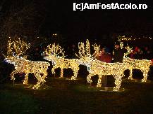 [P06] Renii Mosului. » foto by ninaa
 - 
<span class="allrVoted glyphicon glyphicon-heart hidden" id="av174233"></span>
<a class="m-l-10 hidden" id="sv174233" onclick="voting_Foto_DelVot(,174233,29197)" role="button">șterge vot <span class="glyphicon glyphicon-remove"></span></a>
<a id="v9174233" class=" c-red"  onclick="voting_Foto_SetVot(174233)" role="button"><span class="glyphicon glyphicon-heart-empty"></span> <b>LIKE</b> = Votează poza</a> <img class="hidden"  id="f174233W9" src="/imagini/loader.gif" border="0" /><span class="AjErrMes hidden" id="e174233ErM"></span>