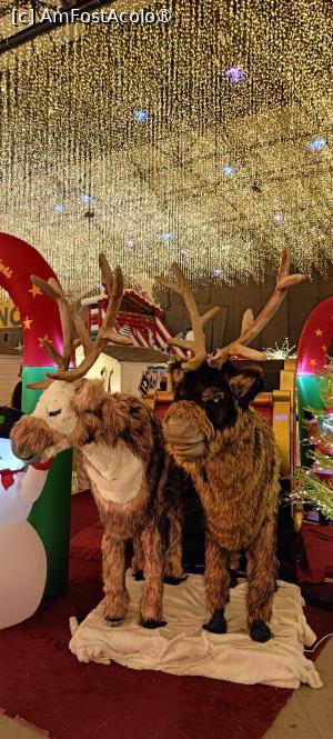 [P35] Winter Wonderland Laminor. » foto by tata123 🔱
 - 
<span class="allrVoted glyphicon glyphicon-heart hidden" id="av1462758"></span>
<a class="m-l-10 hidden" id="sv1462758" onclick="voting_Foto_DelVot(,1462758,29197)" role="button">șterge vot <span class="glyphicon glyphicon-remove"></span></a>
<a id="v91462758" class=" c-red"  onclick="voting_Foto_SetVot(1462758)" role="button"><span class="glyphicon glyphicon-heart-empty"></span> <b>LIKE</b> = Votează poza</a> <img class="hidden"  id="f1462758W9" src="/imagini/loader.gif" border="0" /><span class="AjErrMes hidden" id="e1462758ErM"></span>