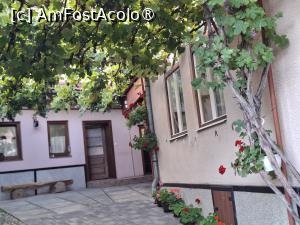 [P08] Pensiunea Cristina - prima curte » foto by Carmen Ion
 - 
<span class="allrVoted glyphicon glyphicon-heart hidden" id="av1510255"></span>
<a class="m-l-10 hidden" id="sv1510255" onclick="voting_Foto_DelVot(,1510255,29200)" role="button">șterge vot <span class="glyphicon glyphicon-remove"></span></a>
<a id="v91510255" class=" c-red"  onclick="voting_Foto_SetVot(1510255)" role="button"><span class="glyphicon glyphicon-heart-empty"></span> <b>LIKE</b> = Votează poza</a> <img class="hidden"  id="f1510255W9" src="/imagini/loader.gif" border="0" /><span class="AjErrMes hidden" id="e1510255ErM"></span>