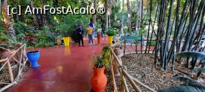 [P17] Marrakech, Grădina Majorelle, Prin grădina viu colorată în verde, albastru, roșu închis, galben și portocaliu, spre Poarta încuiată » foto by mprofeanu
 - 
<span class="allrVoted glyphicon glyphicon-heart hidden" id="av1483264"></span>
<a class="m-l-10 hidden" id="sv1483264" onclick="voting_Foto_DelVot(,1483264,29203)" role="button">șterge vot <span class="glyphicon glyphicon-remove"></span></a>
<a id="v91483264" class=" c-red"  onclick="voting_Foto_SetVot(1483264)" role="button"><span class="glyphicon glyphicon-heart-empty"></span> <b>LIKE</b> = Votează poza</a> <img class="hidden"  id="f1483264W9" src="/imagini/loader.gif" border="0" /><span class="AjErrMes hidden" id="e1483264ErM"></span>
