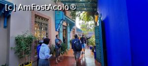 [P39] Marrakech, Grădina Majorelle, în stânga intrarea la Boutic Majorelle » foto by mprofeanu
 - 
<span class="allrVoted glyphicon glyphicon-heart hidden" id="av1483286"></span>
<a class="m-l-10 hidden" id="sv1483286" onclick="voting_Foto_DelVot(,1483286,29203)" role="button">șterge vot <span class="glyphicon glyphicon-remove"></span></a>
<a id="v91483286" class=" c-red"  onclick="voting_Foto_SetVot(1483286)" role="button"><span class="glyphicon glyphicon-heart-empty"></span> <b>LIKE</b> = Votează poza</a> <img class="hidden"  id="f1483286W9" src="/imagini/loader.gif" border="0" /><span class="AjErrMes hidden" id="e1483286ErM"></span>