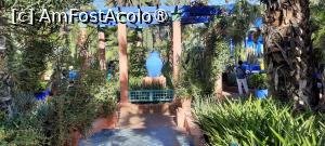 [P45] Marrakech, Grădina Majorelle, Loc de odihnă cu o mare Vază albastră » foto by mprofeanu
 - 
<span class="allrVoted glyphicon glyphicon-heart hidden" id="av1483292"></span>
<a class="m-l-10 hidden" id="sv1483292" onclick="voting_Foto_DelVot(,1483292,29203)" role="button">șterge vot <span class="glyphicon glyphicon-remove"></span></a>
<a id="v91483292" class=" c-red"  onclick="voting_Foto_SetVot(1483292)" role="button"><span class="glyphicon glyphicon-heart-empty"></span> <b>LIKE</b> = Votează poza</a> <img class="hidden"  id="f1483292W9" src="/imagini/loader.gif" border="0" /><span class="AjErrMes hidden" id="e1483292ErM"></span>