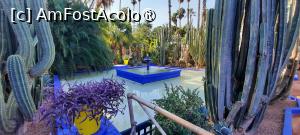 [P47] Marrakech, Grădina Majorelle, Printre cactuși, lângă Fântâna din fața muzeului » foto by mprofeanu
 - 
<span class="allrVoted glyphicon glyphicon-heart hidden" id="av1483294"></span>
<a class="m-l-10 hidden" id="sv1483294" onclick="voting_Foto_DelVot(,1483294,29203)" role="button">șterge vot <span class="glyphicon glyphicon-remove"></span></a>
<a id="v91483294" class=" c-red"  onclick="voting_Foto_SetVot(1483294)" role="button"><span class="glyphicon glyphicon-heart-empty"></span> <b>LIKE</b> = Votează poza</a> <img class="hidden"  id="f1483294W9" src="/imagini/loader.gif" border="0" /><span class="AjErrMes hidden" id="e1483294ErM"></span>