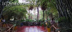 [P21] Pe alei, printre plantele exotice » foto by irinad
 - 
<span class="allrVoted glyphicon glyphicon-heart hidden" id="av1510625"></span>
<a class="m-l-10 hidden" id="sv1510625" onclick="voting_Foto_DelVot(,1510625,29203)" role="button">șterge vot <span class="glyphicon glyphicon-remove"></span></a>
<a id="v91510625" class=" c-red"  onclick="voting_Foto_SetVot(1510625)" role="button"><span class="glyphicon glyphicon-heart-empty"></span> <b>LIKE</b> = Votează poza</a> <img class="hidden"  id="f1510625W9" src="/imagini/loader.gif" border="0" /><span class="AjErrMes hidden" id="e1510625ErM"></span>