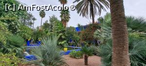 [P53] Palmieri » foto by irinad
 - 
<span class="allrVoted glyphicon glyphicon-heart hidden" id="av1510657"></span>
<a class="m-l-10 hidden" id="sv1510657" onclick="voting_Foto_DelVot(,1510657,29203)" role="button">șterge vot <span class="glyphicon glyphicon-remove"></span></a>
<a id="v91510657" class=" c-red"  onclick="voting_Foto_SetVot(1510657)" role="button"><span class="glyphicon glyphicon-heart-empty"></span> <b>LIKE</b> = Votează poza</a> <img class="hidden"  id="f1510657W9" src="/imagini/loader.gif" border="0" /><span class="AjErrMes hidden" id="e1510657ErM"></span>