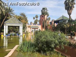 [P24] Villa Oasis » foto by adso
 - 
<span class="allrVoted glyphicon glyphicon-heart hidden" id="av1524806"></span>
<a class="m-l-10 hidden" id="sv1524806" onclick="voting_Foto_DelVot(,1524806,29203)" role="button">șterge vot <span class="glyphicon glyphicon-remove"></span></a>
<a id="v91524806" class=" c-red"  onclick="voting_Foto_SetVot(1524806)" role="button"><span class="glyphicon glyphicon-heart-empty"></span> <b>LIKE</b> = Votează poza</a> <img class="hidden"  id="f1524806W9" src="/imagini/loader.gif" border="0" /><span class="AjErrMes hidden" id="e1524806ErM"></span>