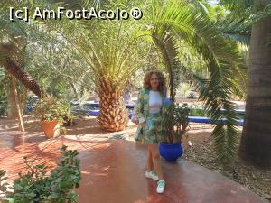 [P02]  -- <small>// FĂRĂ DESCRIERE</small> » foto by geani anto
 - 
<span class="allrVoted glyphicon glyphicon-heart hidden" id="av1309418"></span>
<a class="m-l-10 hidden" id="sv1309418" onclick="voting_Foto_DelVot(,1309418,29203)" role="button">șterge vot <span class="glyphicon glyphicon-remove"></span></a>
<a id="v91309418" class=" c-red"  onclick="voting_Foto_SetVot(1309418)" role="button"><span class="glyphicon glyphicon-heart-empty"></span> <b>LIKE</b> = Votează poza</a> <img class="hidden"  id="f1309418W9" src="/imagini/loader.gif" border="0" /><span class="AjErrMes hidden" id="e1309418ErM"></span>