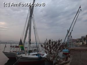 [P26] Steigenberger Resort Achti (partea către Nil) » foto by adso
 - 
<span class="allrVoted glyphicon glyphicon-heart hidden" id="av1511207"></span>
<a class="m-l-10 hidden" id="sv1511207" onclick="voting_Foto_DelVot(,1511207,29205)" role="button">șterge vot <span class="glyphicon glyphicon-remove"></span></a>
<a id="v91511207" class=" c-red"  onclick="voting_Foto_SetVot(1511207)" role="button"><span class="glyphicon glyphicon-heart-empty"></span> <b>LIKE</b> = Votează poza</a> <img class="hidden"  id="f1511207W9" src="/imagini/loader.gif" border="0" /><span class="AjErrMes hidden" id="e1511207ErM"></span>