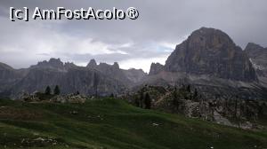 [P16]  -- <small>// FĂRĂ DESCRIERE</small> » foto by elenaadina
 - 
<span class="allrVoted glyphicon glyphicon-heart hidden" id="av1511656"></span>
<a class="m-l-10 hidden" id="sv1511656" onclick="voting_Foto_DelVot(,1511656,29209)" role="button">șterge vot <span class="glyphicon glyphicon-remove"></span></a>
<a id="v91511656" class=" c-red"  onclick="voting_Foto_SetVot(1511656)" role="button"><span class="glyphicon glyphicon-heart-empty"></span> <b>LIKE</b> = Votează poza</a> <img class="hidden"  id="f1511656W9" src="/imagini/loader.gif" border="0" /><span class="AjErrMes hidden" id="e1511656ErM"></span>