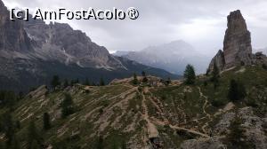 [P38]  -- <small>// FĂRĂ DESCRIERE</small> » foto by elenaadina
 - 
<span class="allrVoted glyphicon glyphicon-heart hidden" id="av1511678"></span>
<a class="m-l-10 hidden" id="sv1511678" onclick="voting_Foto_DelVot(,1511678,29209)" role="button">șterge vot <span class="glyphicon glyphicon-remove"></span></a>
<a id="v91511678" class=" c-red"  onclick="voting_Foto_SetVot(1511678)" role="button"><span class="glyphicon glyphicon-heart-empty"></span> <b>LIKE</b> = Votează poza</a> <img class="hidden"  id="f1511678W9" src="/imagini/loader.gif" border="0" /><span class="AjErrMes hidden" id="e1511678ErM"></span>