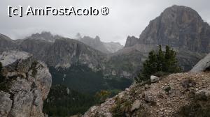 [P42]  -- <small>// FĂRĂ DESCRIERE</small> » foto by elenaadina
 - 
<span class="allrVoted glyphicon glyphicon-heart hidden" id="av1511682"></span>
<a class="m-l-10 hidden" id="sv1511682" onclick="voting_Foto_DelVot(,1511682,29209)" role="button">șterge vot <span class="glyphicon glyphicon-remove"></span></a>
<a id="v91511682" class=" c-red"  onclick="voting_Foto_SetVot(1511682)" role="button"><span class="glyphicon glyphicon-heart-empty"></span> <b>LIKE</b> = Votează poza</a> <img class="hidden"  id="f1511682W9" src="/imagini/loader.gif" border="0" /><span class="AjErrMes hidden" id="e1511682ErM"></span>