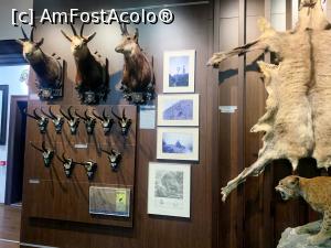 [P27] Muzeul de v&acirc;nătoare » foto by AZE
 - 
<span class="allrVoted glyphicon glyphicon-heart hidden" id="av1355978"></span>
<a class="m-l-10 hidden" id="sv1355978" onclick="voting_Foto_DelVot(,1355978,29226)" role="button">șterge vot <span class="glyphicon glyphicon-remove"></span></a>
<a id="v91355978" class=" c-red"  onclick="voting_Foto_SetVot(1355978)" role="button"><span class="glyphicon glyphicon-heart-empty"></span> <b>LIKE</b> = Votează poza</a> <img class="hidden"  id="f1355978W9" src="/imagini/loader.gif" border="0" /><span class="AjErrMes hidden" id="e1355978ErM"></span>