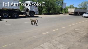 [P02] no man s land » foto by robert
 - 
<span class="allrVoted glyphicon glyphicon-heart hidden" id="av1514429"></span>
<a class="m-l-10 hidden" id="sv1514429" onclick="voting_Foto_DelVot(,1514429,29230)" role="button">șterge vot <span class="glyphicon glyphicon-remove"></span></a>
<a id="v91514429" class=" c-red"  onclick="voting_Foto_SetVot(1514429)" role="button"><span class="glyphicon glyphicon-heart-empty"></span> <b>LIKE</b> = Votează poza</a> <img class="hidden"  id="f1514429W9" src="/imagini/loader.gif" border="0" /><span class="AjErrMes hidden" id="e1514429ErM"></span>