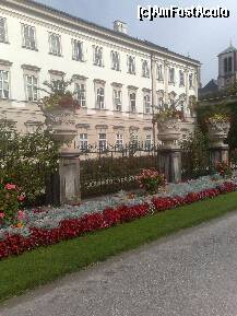 [P20] O zi in Salzburg - Gradinile Mirabell - flori de toate culorile » foto by irma_ro*
 - 
<span class="allrVoted glyphicon glyphicon-heart hidden" id="av173077"></span>
<a class="m-l-10 hidden" id="sv173077" onclick="voting_Foto_DelVot(,173077,29235)" role="button">șterge vot <span class="glyphicon glyphicon-remove"></span></a>
<a id="v9173077" class=" c-red"  onclick="voting_Foto_SetVot(173077)" role="button"><span class="glyphicon glyphicon-heart-empty"></span> <b>LIKE</b> = Votează poza</a> <img class="hidden"  id="f173077W9" src="/imagini/loader.gif" border="0" /><span class="AjErrMes hidden" id="e173077ErM"></span>