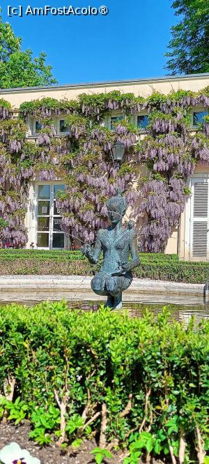 [P18] Fântâna Papagena și glicinia. » foto by tata123 🔱
 - 
<span class="allrVoted glyphicon glyphicon-heart hidden" id="av1518870"></span>
<a class="m-l-10 hidden" id="sv1518870" onclick="voting_Foto_DelVot(,1518870,29235)" role="button">șterge vot <span class="glyphicon glyphicon-remove"></span></a>
<a id="v91518870" class=" c-red"  onclick="voting_Foto_SetVot(1518870)" role="button"><span class="glyphicon glyphicon-heart-empty"></span> <b>LIKE</b> = Votează poza</a> <img class="hidden"  id="f1518870W9" src="/imagini/loader.gif" border="0" /><span class="AjErrMes hidden" id="e1518870ErM"></span>