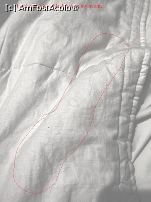 [P02] Cu acest fir de par m-am trezit in gura » foto by Om bun
 - 
<span class="allrVoted glyphicon glyphicon-heart hidden" id="av1516727"></span>
<a class="m-l-10 hidden" id="sv1516727" onclick="voting_Foto_DelVot(,1516727,29241)" role="button">șterge vot <span class="glyphicon glyphicon-remove"></span></a>
<a id="v91516727" class=" c-red"  onclick="voting_Foto_SetVot(1516727)" role="button"><span class="glyphicon glyphicon-heart-empty"></span> <b>LIKE</b> = Votează poza</a> <img class="hidden"  id="f1516727W9" src="/imagini/loader.gif" border="0" /><span class="AjErrMes hidden" id="e1516727ErM"></span>