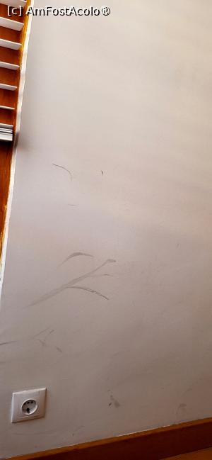 [P05] pereti murdari » foto by Marynaa
 - 
<span class="allrVoted glyphicon glyphicon-heart hidden" id="av1517252"></span>
<a class="m-l-10 hidden" id="sv1517252" onclick="voting_Foto_DelVot(,1517252,29246)" role="button">șterge vot <span class="glyphicon glyphicon-remove"></span></a>
<a id="v91517252" class=" c-red"  onclick="voting_Foto_SetVot(1517252)" role="button"><span class="glyphicon glyphicon-heart-empty"></span> <b>LIKE</b> = Votează poza</a> <img class="hidden"  id="f1517252W9" src="/imagini/loader.gif" border="0" /><span class="AjErrMes hidden" id="e1517252ErM"></span>