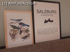 [P15] Camera 202 » foto by adso
 - 
<span class="allrVoted glyphicon glyphicon-heart hidden" id="av1517829"></span>
<a class="m-l-10 hidden" id="sv1517829" onclick="voting_Foto_DelVot(,1517829,29248)" role="button">șterge vot <span class="glyphicon glyphicon-remove"></span></a>
<a id="v91517829" class=" c-red"  onclick="voting_Foto_SetVot(1517829)" role="button"><span class="glyphicon glyphicon-heart-empty"></span> <b>LIKE</b> = Votează poza</a> <img class="hidden"  id="f1517829W9" src="/imagini/loader.gif" border="0" /><span class="AjErrMes hidden" id="e1517829ErM"></span>