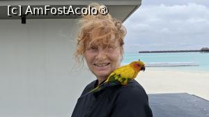 [P12] Eu si papagalul Zefir » foto by elenaadina
 - 
<span class="allrVoted glyphicon glyphicon-heart hidden" id="av1518315"></span>
<a class="m-l-10 hidden" id="sv1518315" onclick="voting_Foto_DelVot(,1518315,29256)" role="button">șterge vot <span class="glyphicon glyphicon-remove"></span></a>
<a id="v91518315" class=" c-red"  onclick="voting_Foto_SetVot(1518315)" role="button"><span class="glyphicon glyphicon-heart-empty"></span> <b>LIKE</b> = Votează poza</a> <img class="hidden"  id="f1518315W9" src="/imagini/loader.gif" border="0" /><span class="AjErrMes hidden" id="e1518315ErM"></span>