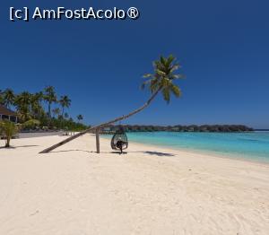 [P14] Sun Siyam Olhuveli » foto by elenaadina
 - 
<span class="allrVoted glyphicon glyphicon-heart hidden" id="av1518317"></span>
<a class="m-l-10 hidden" id="sv1518317" onclick="voting_Foto_DelVot(,1518317,29256)" role="button">șterge vot <span class="glyphicon glyphicon-remove"></span></a>
<a id="v91518317" class=" c-red"  onclick="voting_Foto_SetVot(1518317)" role="button"><span class="glyphicon glyphicon-heart-empty"></span> <b>LIKE</b> = Votează poza</a> <img class="hidden"  id="f1518317W9" src="/imagini/loader.gif" border="0" /><span class="AjErrMes hidden" id="e1518317ErM"></span>