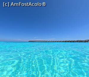 [P16] Sun Siyam Olhuveli » foto by elenaadina
 - 
<span class="allrVoted glyphicon glyphicon-heart hidden" id="av1518319"></span>
<a class="m-l-10 hidden" id="sv1518319" onclick="voting_Foto_DelVot(,1518319,29256)" role="button">șterge vot <span class="glyphicon glyphicon-remove"></span></a>
<a id="v91518319" class=" c-red"  onclick="voting_Foto_SetVot(1518319)" role="button"><span class="glyphicon glyphicon-heart-empty"></span> <b>LIKE</b> = Votează poza</a> <img class="hidden"  id="f1518319W9" src="/imagini/loader.gif" border="0" /><span class="AjErrMes hidden" id="e1518319ErM"></span>