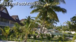 [P04] Sun Siyam Olhuveli » foto by elenaadina
 - 
<span class="allrVoted glyphicon glyphicon-heart hidden" id="av1518307"></span>
<a class="m-l-10 hidden" id="sv1518307" onclick="voting_Foto_DelVot(,1518307,29256)" role="button">șterge vot <span class="glyphicon glyphicon-remove"></span></a>
<a id="v91518307" class=" c-red"  onclick="voting_Foto_SetVot(1518307)" role="button"><span class="glyphicon glyphicon-heart-empty"></span> <b>LIKE</b> = Votează poza</a> <img class="hidden"  id="f1518307W9" src="/imagini/loader.gif" border="0" /><span class="AjErrMes hidden" id="e1518307ErM"></span>