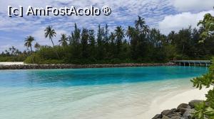 [P70]  -- <small>// FĂRĂ DESCRIERE</small> » foto by elenaadina
 - 
<span class="allrVoted glyphicon glyphicon-heart hidden" id="av1518373"></span>
<a class="m-l-10 hidden" id="sv1518373" onclick="voting_Foto_DelVot(,1518373,29256)" role="button">șterge vot <span class="glyphicon glyphicon-remove"></span></a>
<a id="v91518373" class=" c-red"  onclick="voting_Foto_SetVot(1518373)" role="button"><span class="glyphicon glyphicon-heart-empty"></span> <b>LIKE</b> = Votează poza</a> <img class="hidden"  id="f1518373W9" src="/imagini/loader.gif" border="0" /><span class="AjErrMes hidden" id="e1518373ErM"></span>