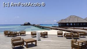 [P83]  -- <small>// FĂRĂ DESCRIERE</small> » foto by elenaadina
 - 
<span class="allrVoted glyphicon glyphicon-heart hidden" id="av1518386"></span>
<a class="m-l-10 hidden" id="sv1518386" onclick="voting_Foto_DelVot(,1518386,29256)" role="button">șterge vot <span class="glyphicon glyphicon-remove"></span></a>
<a id="v91518386" class=" c-red"  onclick="voting_Foto_SetVot(1518386)" role="button"><span class="glyphicon glyphicon-heart-empty"></span> <b>LIKE</b> = Votează poza</a> <img class="hidden"  id="f1518386W9" src="/imagini/loader.gif" border="0" /><span class="AjErrMes hidden" id="e1518386ErM"></span>