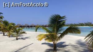 [P89]  -- <small>// FĂRĂ DESCRIERE</small> » foto by elenaadina
 - 
<span class="allrVoted glyphicon glyphicon-heart hidden" id="av1518392"></span>
<a class="m-l-10 hidden" id="sv1518392" onclick="voting_Foto_DelVot(,1518392,29256)" role="button">șterge vot <span class="glyphicon glyphicon-remove"></span></a>
<a id="v91518392" class=" c-red"  onclick="voting_Foto_SetVot(1518392)" role="button"><span class="glyphicon glyphicon-heart-empty"></span> <b>LIKE</b> = Votează poza</a> <img class="hidden"  id="f1518392W9" src="/imagini/loader.gif" border="0" /><span class="AjErrMes hidden" id="e1518392ErM"></span>