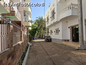 [P36] Luxor, Egipt, Plimbare pe West Bank » foto by mprofeanu
 - 
<span class="allrVoted glyphicon glyphicon-heart hidden" id="av1520633"></span>
<a class="m-l-10 hidden" id="sv1520633" onclick="voting_Foto_DelVot(,1520633,29277)" role="button">șterge vot <span class="glyphicon glyphicon-remove"></span></a>
<a id="v91520633" class=" c-red"  onclick="voting_Foto_SetVot(1520633)" role="button"><span class="glyphicon glyphicon-heart-empty"></span> <b>LIKE</b> = Votează poza</a> <img class="hidden"  id="f1520633W9" src="/imagini/loader.gif" border="0" /><span class="AjErrMes hidden" id="e1520633ErM"></span>