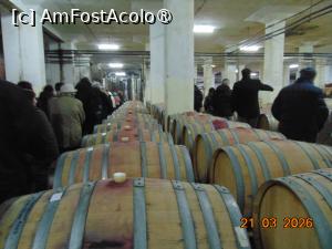 [P11] la subsol printre butoaie » foto by Yolanda
 - 
<span class="allrVoted glyphicon glyphicon-heart hidden" id="av1524435"></span>
<a class="m-l-10 hidden" id="sv1524435" onclick="voting_Foto_DelVot(,1524435,29294)" role="button">șterge vot <span class="glyphicon glyphicon-remove"></span></a>
<a id="v91524435" class=" c-red"  onclick="voting_Foto_SetVot(1524435)" role="button"><span class="glyphicon glyphicon-heart-empty"></span> <b>LIKE</b> = Votează poza</a> <img class="hidden"  id="f1524435W9" src="/imagini/loader.gif" border="0" /><span class="AjErrMes hidden" id="e1524435ErM"></span>