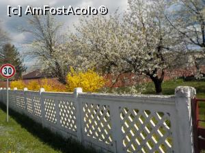 [P18] &Icirc;mprejurimile SAREI! » foto by Zoazore
 - 
<span class="allrVoted glyphicon glyphicon-heart hidden" id="av1297784"></span>
<a class="m-l-10 hidden" id="sv1297784" onclick="voting_Foto_DelVot(,1297784,29303)" role="button">șterge vot <span class="glyphicon glyphicon-remove"></span></a>
<a id="v91297784" class=" c-red"  onclick="voting_Foto_SetVot(1297784)" role="button"><span class="glyphicon glyphicon-heart-empty"></span> <b>LIKE</b> = Votează poza</a> <img class="hidden"  id="f1297784W9" src="/imagini/loader.gif" border="0" /><span class="AjErrMes hidden" id="e1297784ErM"></span>