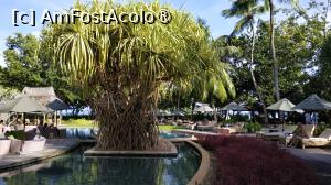 [P35] Constance Ephelia, piscina » foto by elenaadina
 - 
<span class="allrVoted glyphicon glyphicon-heart hidden" id="av1527969"></span>
<a class="m-l-10 hidden" id="sv1527969" onclick="voting_Foto_DelVot(,1527969,29323)" role="button">șterge vot <span class="glyphicon glyphicon-remove"></span></a>
<a id="v91527969" class=" c-red"  onclick="voting_Foto_SetVot(1527969)" role="button"><span class="glyphicon glyphicon-heart-empty"></span> <b>LIKE</b> = Votează poza</a> <img class="hidden"  id="f1527969W9" src="/imagini/loader.gif" border="0" /><span class="AjErrMes hidden" id="e1527969ErM"></span>