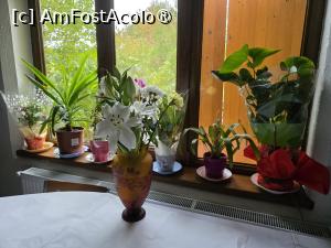 [P31] Căsuțele din Pădure; sala de mese » foto by crismis
 - 
<span class="allrVoted glyphicon glyphicon-heart hidden" id="av1530178"></span>
<a class="m-l-10 hidden" id="sv1530178" onclick="voting_Foto_DelVot(,1530178,29343)" role="button">șterge vot <span class="glyphicon glyphicon-remove"></span></a>
<a id="v91530178" class=" c-red"  onclick="voting_Foto_SetVot(1530178)" role="button"><span class="glyphicon glyphicon-heart-empty"></span> <b>LIKE</b> = Votează poza</a> <img class="hidden"  id="f1530178W9" src="/imagini/loader.gif" border="0" /><span class="AjErrMes hidden" id="e1530178ErM"></span>