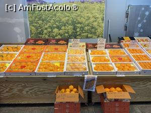 [P17] multele soiuri de citrice » foto by dop.tirbuson
 - 
<span class="allrVoted glyphicon glyphicon-heart hidden" id="av1530488"></span>
<a class="m-l-10 hidden" id="sv1530488" onclick="voting_Foto_DelVot(,1530488,29345)" role="button">șterge vot <span class="glyphicon glyphicon-remove"></span></a>
<a id="v91530488" class=" c-red"  onclick="voting_Foto_SetVot(1530488)" role="button"><span class="glyphicon glyphicon-heart-empty"></span> <b>LIKE</b> = Votează poza</a> <img class="hidden"  id="f1530488W9" src="/imagini/loader.gif" border="0" /><span class="AjErrMes hidden" id="e1530488ErM"></span>
