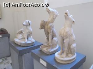 [P11] Muzeul Național de Atheologie Napoli. Niște lătrători antici, dar cu multă personalitate. » foto by mihaelavoicu
 - 
<span class="allrVoted glyphicon glyphicon-heart hidden" id="av1187197"></span>
<a class="m-l-10 hidden" id="sv1187197" onclick="voting_Foto_DelVot(,1187197,29347)" role="button">șterge vot <span class="glyphicon glyphicon-remove"></span></a>
<a id="v91187197" class=" c-red"  onclick="voting_Foto_SetVot(1187197)" role="button"><span class="glyphicon glyphicon-heart-empty"></span> <b>LIKE</b> = Votează poza</a> <img class="hidden"  id="f1187197W9" src="/imagini/loader.gif" border="0" /><span class="AjErrMes hidden" id="e1187197ErM"></span>