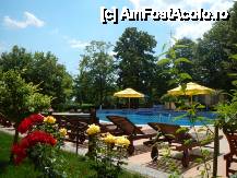 fotografii din vacanta la Sunquest Hotel