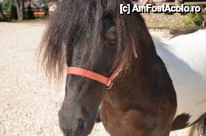 fotografii din vacanta la Pensiunea Găinuşa de Munte